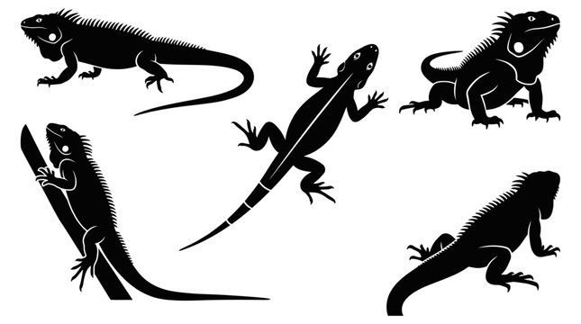 Set of black iguana lizard silhouettes in various poses on white background