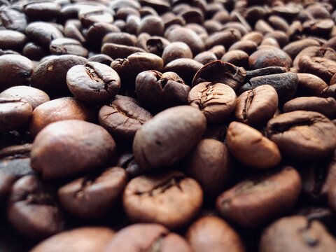 Extreme close up of roasted coffee beans with selective focus. Macro shot of brown aromatic coffee seeds.