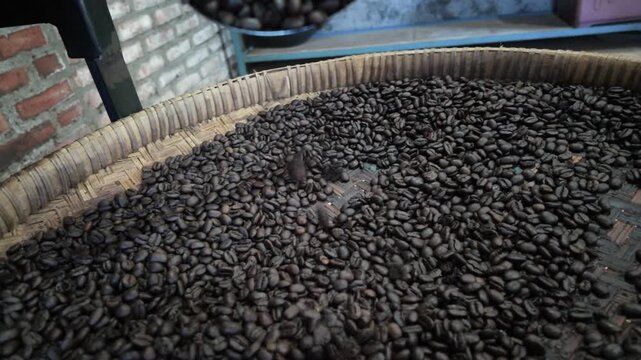 Roasted coffee beans in tray.