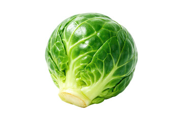 Fototapeta premium Fresh green cabbage head isolated on white background, raw leafy vegetable, food ingredient