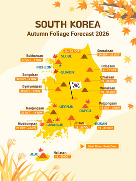 South Korea Autumn foliage forecast 2026 vector illustration. Fall season, Korea map flat design