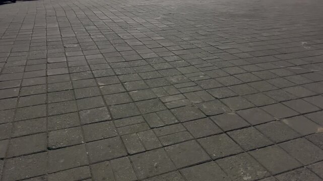 Pavement Brick Walkway Texture Loop