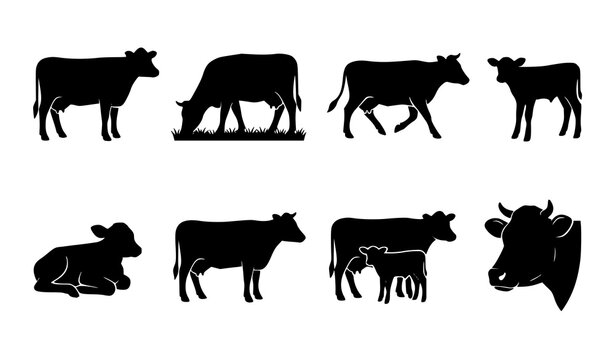 Cow and Calf Silhouette Set &ndash; Farm Animal Vector Collection