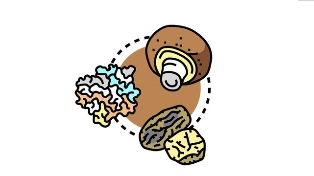 Magic mushrooms comprising various fungi species providing psychoactive effects represent the concept of natural hallucinogens and alter perceptions for spiritual or recreational use