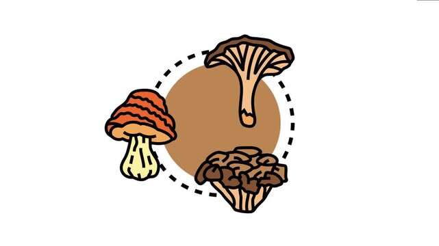 Magic mushrooms icons illustrate different types of psychedelic fungi, highlighting concepts of altered consciousness, natural medicine, and spiritual experiences