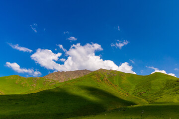 Obraz premium Vibrant Green Mountains and Rolling Hills in Kyrgyzstan
