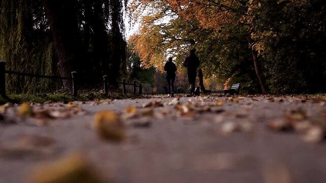 Zwei Jogger laufen durch einen herbstlichen Park mit viel Laub