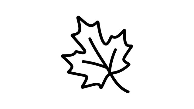 Maple leaf black line art icon symbol for autumn season design projects.