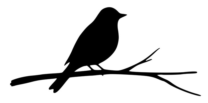High level description a minimalist vect 7lXtiyNVX12Uj13hAZrRzw MerV4PsoS9W0uSzmg khNQ set with simple line art design featuring simple design, minimalist, black and white with illustrations and gr...