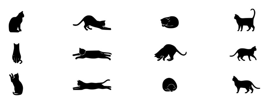 High level description a minimalist vect bJo10u2xUKCE2vy XhhDag rAbhu2sgT1iHF7oeWuIuQA cover set with simple line art design featuring simple design, minimalist, black and white with illustrations ...