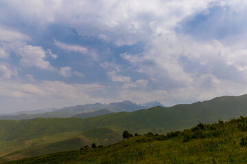 Fototapeta premium Panoramic View of Rolling Green Hills and Rugged Mountains