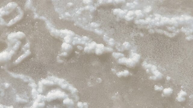 Salt texture in a natural wetland