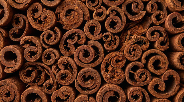 Cinnamon sticks forming abstract patterns, showcasing natural spice curls and warm brown textures