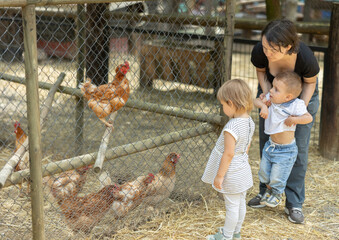 Woman with children near yard with hens, excursion to farm. Mom shows daughter and son livestock, outdoor weekend. © JackF
