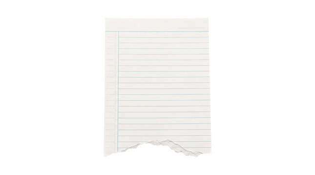 Torn lined notebook paper with ragged bottom edge for notes and design.