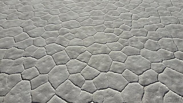 Polygonal salt crust patterns cover the Salinas Grandes surface in Jujuy, Argentina, forming a repeating geometric texture useful for backgrounds or climate and mining concepts.
