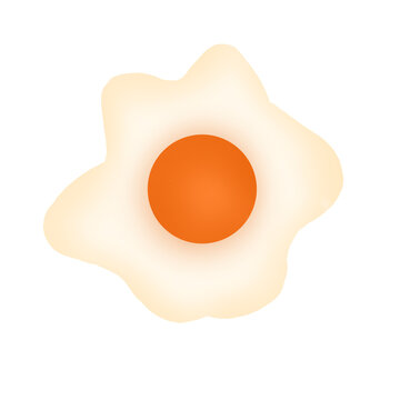 fried egg on white background