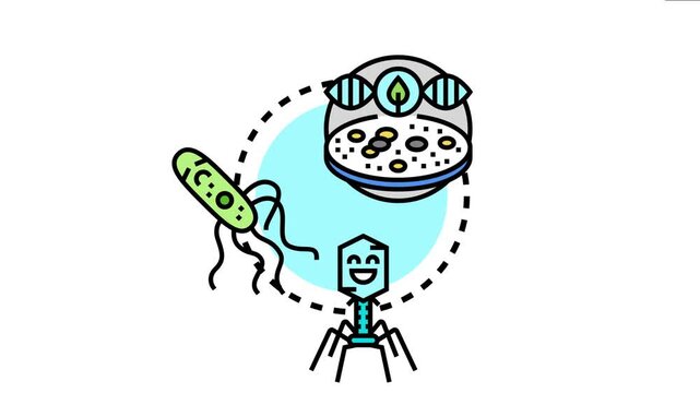 Microorganisms including bacteria and bacteriophage microbiology research and experiment, developing microbial colonies in a scientific laboratory environment