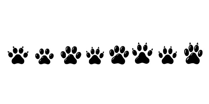 Four distinct animal paw prints in a row, each with unique characteristics: a dog paw, a cat paw, a bear paw, and another dog paw. The paw prints are arranged horizontally against a plain white bac...