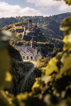 Blick durch Weinlaub auf Karmeliterkirche St. Josef und Burg Metternich in Beilstein