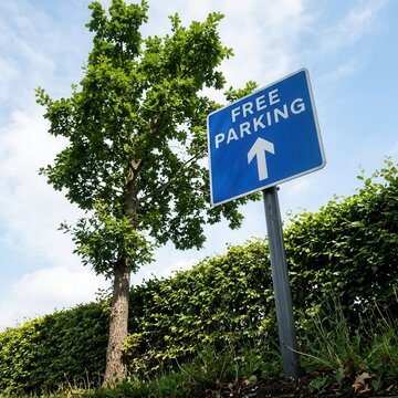 Blue Free Parking Sign With Arrow Amidst Greenery On Sunny Day