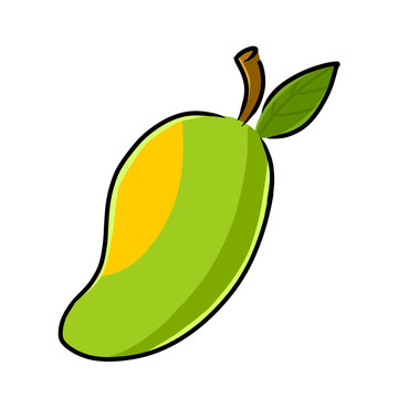 mango fruit