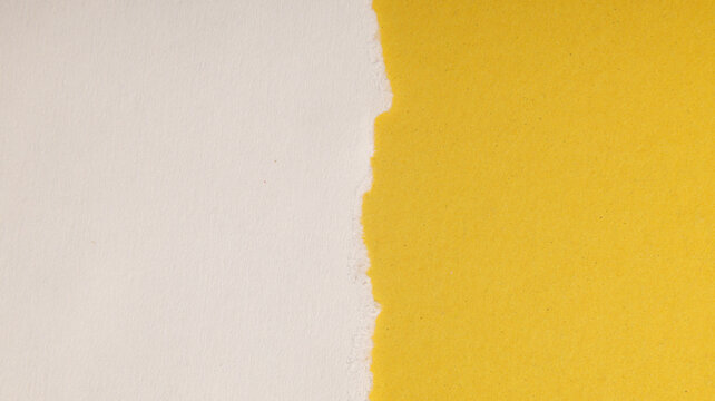 White paper with torn vertical edge layered over yellow background.