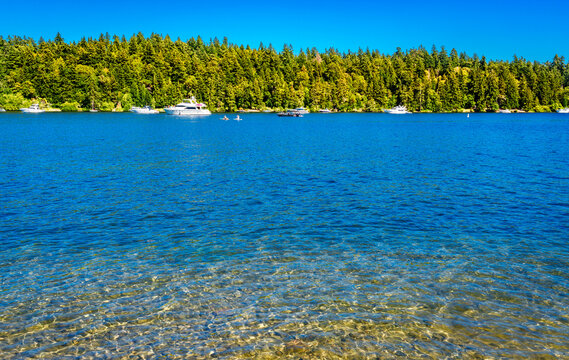 Lake Summer Fun 2