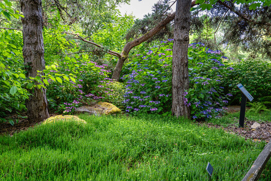 South Seattle Garden Landscape