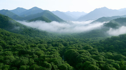 Obraz premium Breathtaking Aerial View of Lush Green Mountain Valley Enveloped in Thick Morning Mist Clouds