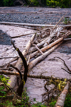 White River Logs