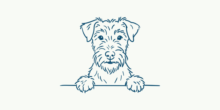 Cute handdrawn terrier dog portrait peeking over a horizontal line, vector illustration of a scruffy puppy handdrawn doodle