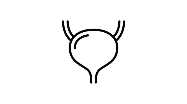 Bladder outline illustration on a white background depicts human anatomy