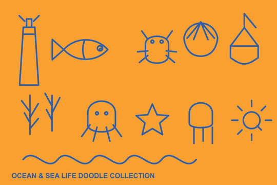 Ocean Sea Life