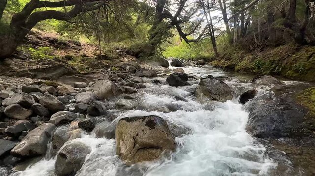 Rocky forest stream with rushing clear water in Patagonia Argentina