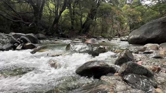 Fast mountain stream flowing through rocky forest