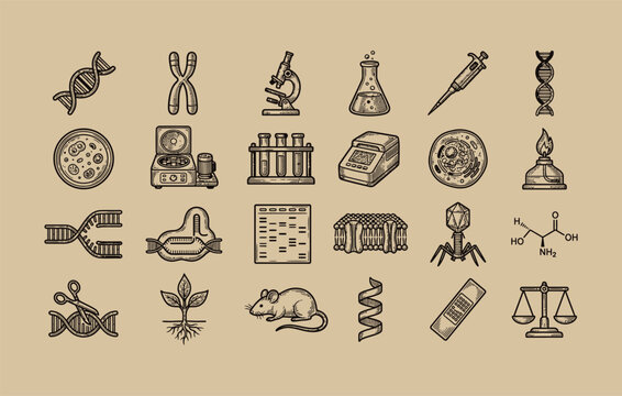 Gel electrophoresis plate pcr thermal cycler dna scissors and chromosome illustrations for biotechnology and genetics research in vintage vector style