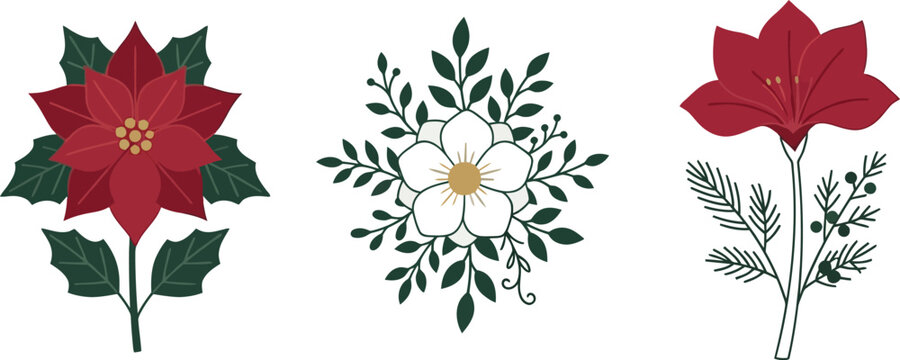A collection of three stylized festive botanical illustrations featuring a poinsettia a winter rose and a red amaryllis presented in a clean minimalist vector style