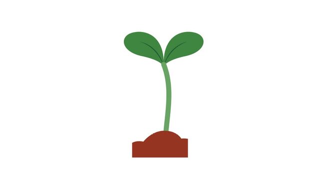 trees icon animation best cartoon objectGlowing neon line of tree icon isolated on transparent background, One line vector animation of a small sprout emerging from the soil, illustrating life