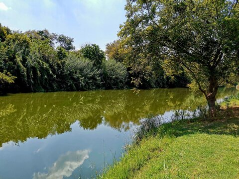 Crocodile River Flowing From Hartbeespoort Dam Through Brits

