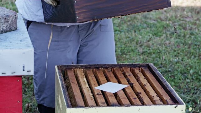 Female beekeeper holding empty wooden hive box