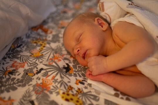 Newborn baby sleeping peacefully on a colorful sheet featuring safari animal and jungle leaf patterns, resting comfortably under a soft blanket in a crib