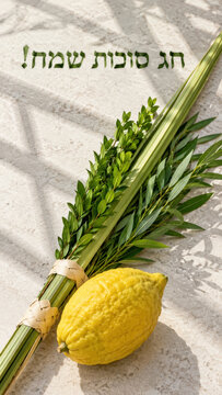 Hebrew sukkot greeting above four species, sunlit etrog plus lulav casting palm shadows on pale textured fabric, jewish calendar feature for family sukkah gathering