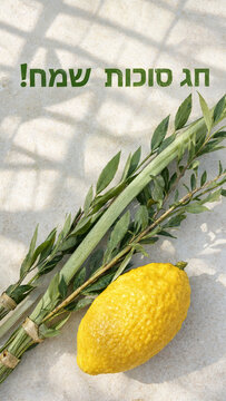 Sunlit four species with hebrew greeting, lulav plus etrog on pale stone crossed by patterned sukkah shadows, community event poster for family sukkah gathering