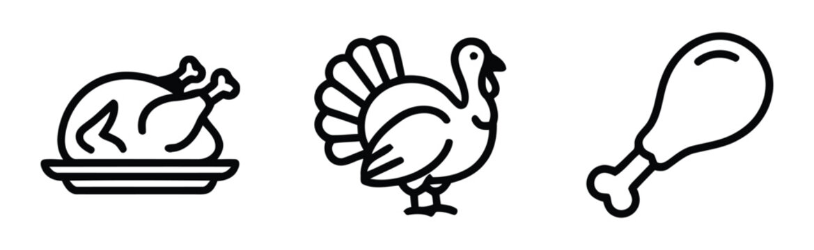 Thanksgiving turkey dinner roast chicken leg poultry food illustration set