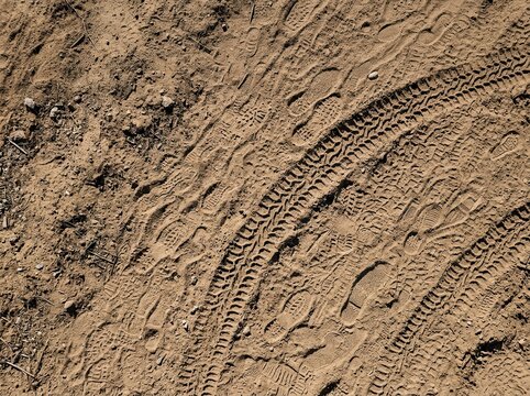 Footprints And Tire Tracks Impressed On Earthy Textured Ground