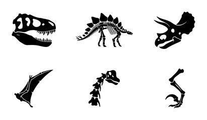Dinosaur Skeletons Vector Icons: Prehistoric Fossils, Ancient Creatures, Paleontology Graphics © Anjali