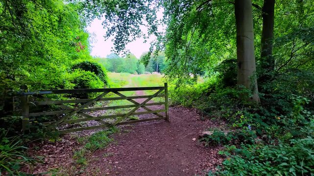 Bedford Purlieus National Nature Reserve, Cambridgeshire, England, UK - Septemeber 02 2026: Walking PoV Sequence - Walking past an old wooden gate, out of the forest and into an open field like area.