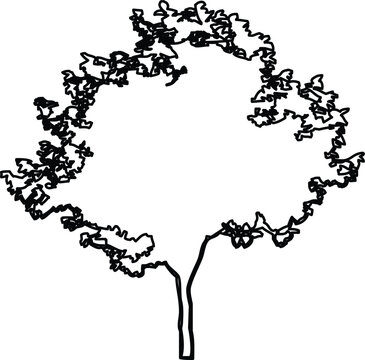 Hand drawn sketch of a deciduous tree silhouette