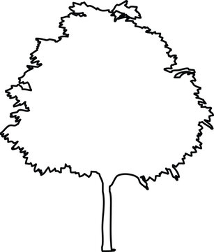 Simple black outline drawing of a deciduous tree with a rounded canopy and straight trunk, minimalist vector illustration